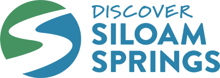 A green banner with blue letters that say " discover silicon springs ".