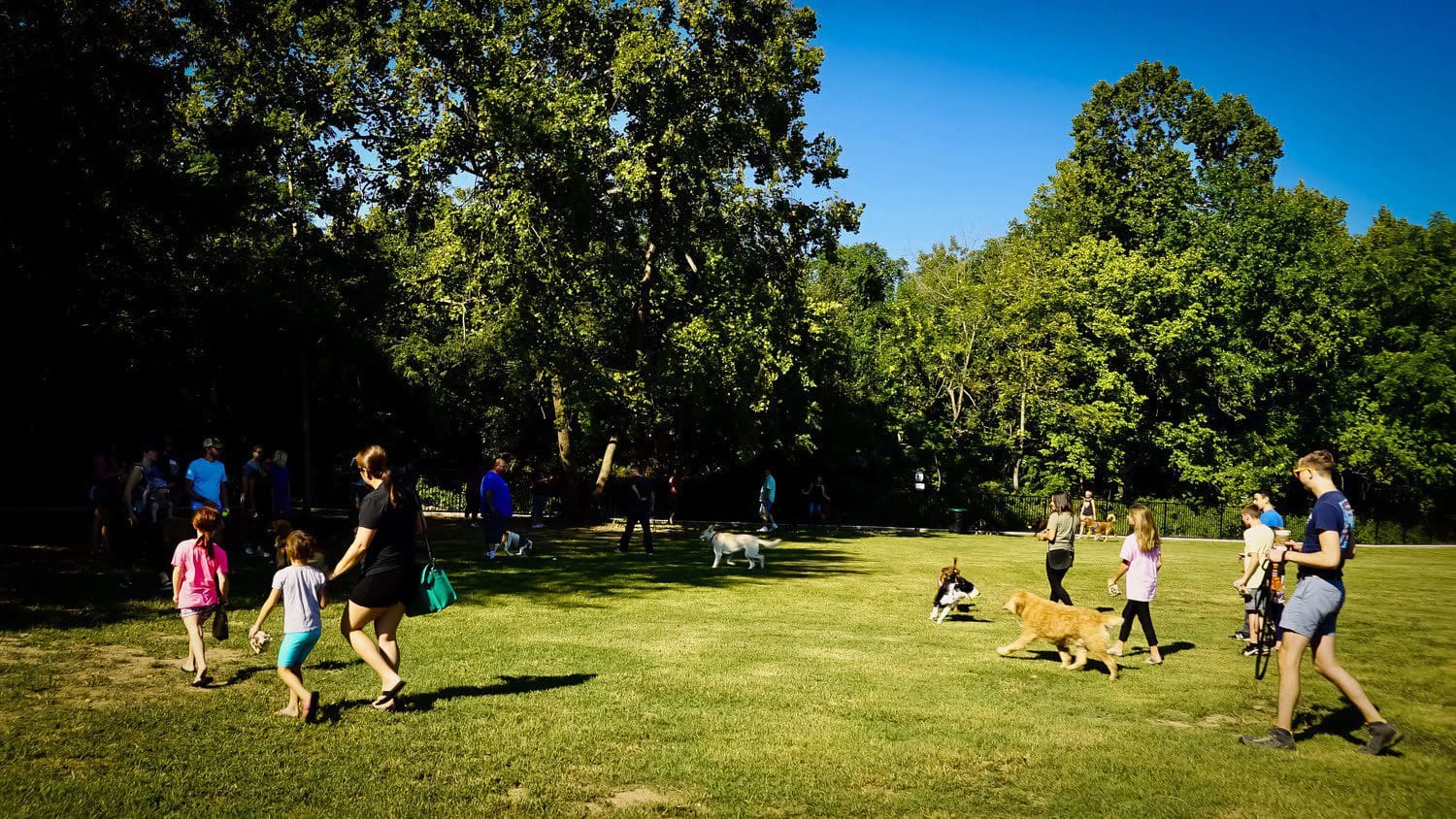 A group of people playing frisbee in the park.